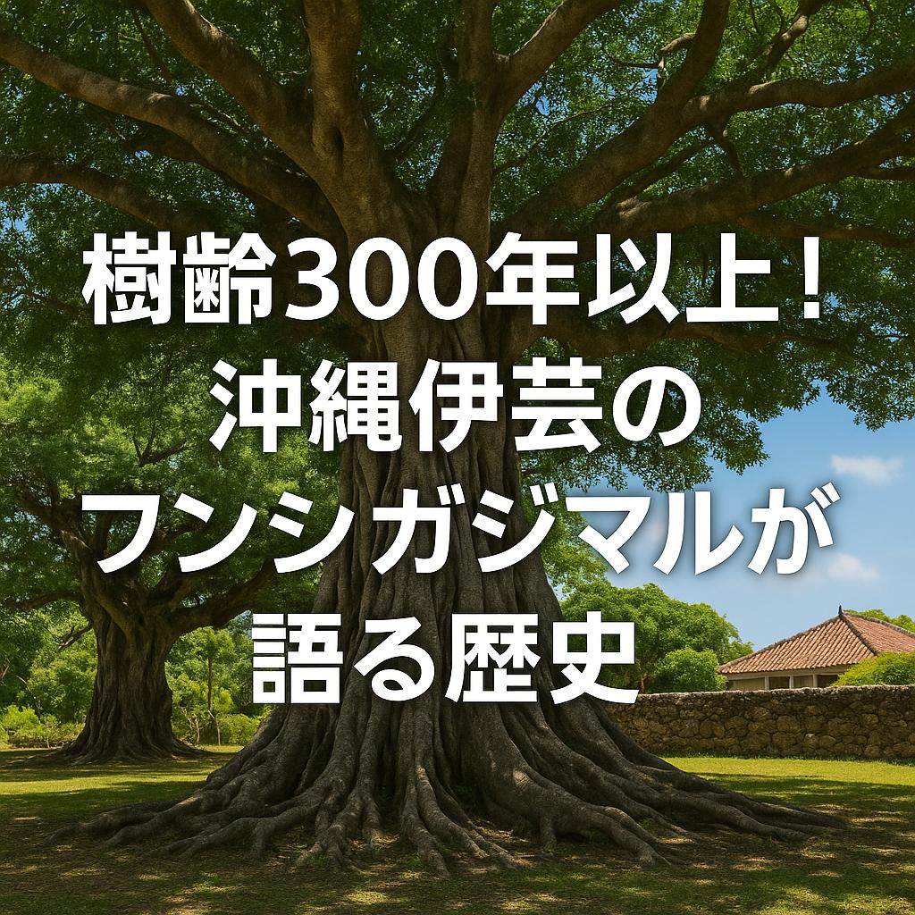 樹齢300年以上！沖縄伊芸のフンシガジマルが語る歴史