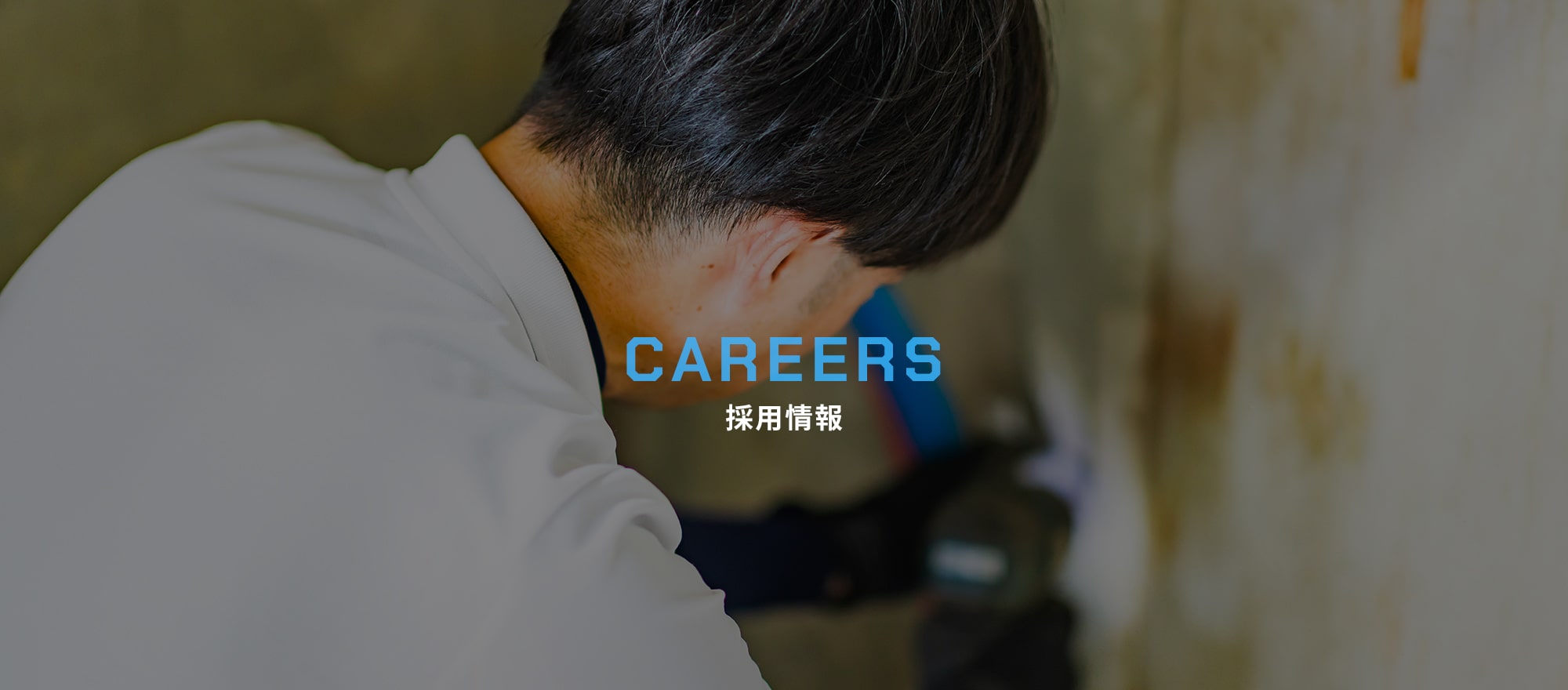 採用情報